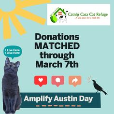 a poster with a cat and a bird on it that says donations matched through march 7th