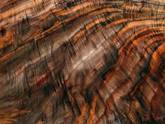 an abstract photograph of wood grains and colors