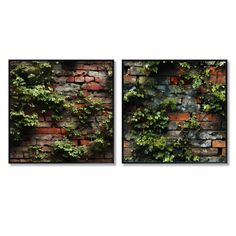 two pictures of green plants growing on a brick wall