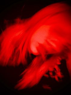 a blurry image of a person with long hair in the dark, red light