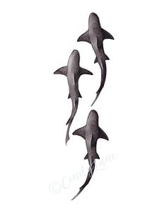 three black and white sharks on a white background