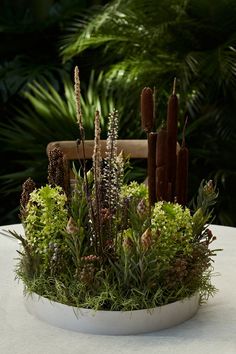 a white bowl filled with lots of plants