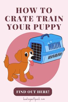 a dog with its mouth open and the words how to crate train your puppy on it