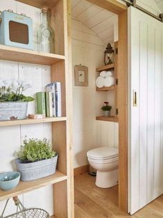 an open door leading to a bathroom with shelves filled with potted plants and books