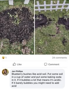 two pictures of the same plant and some dirt