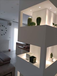 a living room filled with furniture and lots of green cactus in vases on top of shelves