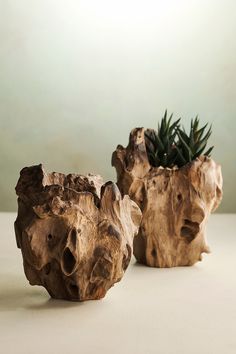 two planters made out of driftwood are sitting on a white countertop next to each other