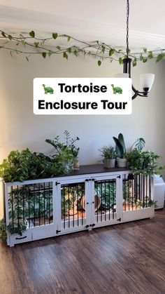 an enclosed area with potted plants and a sign that says tortoise enclosure tour