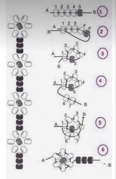 the diagram shows how many different parts can be seen in this image, and what they are