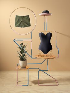 there is a plant and some clothing on display in the room with it's clothes rack