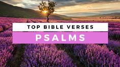 a field full of purple flowers with the words top bible verses in pink and white