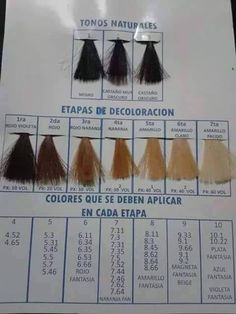 Etapas de color y colores a aplicar Small Hair Cut, Teal Hair Dye, Soft Curl Hairstyles, Tight Curly Hair, Peinados Hair Styles, Fine Curly Hair, Textured Curly Hair