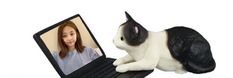 a cat sitting on top of a laptop computer next to a woman's face