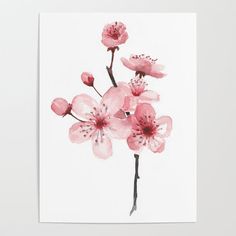 a painting of pink flowers on a white background