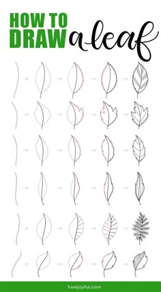 how to draw leaves with the text