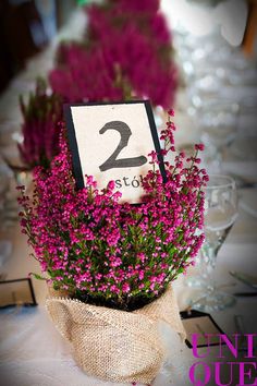 purple flowers in a vase with a table number