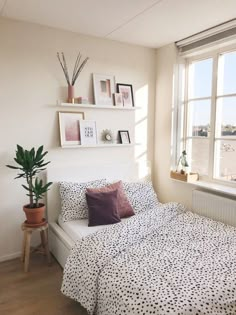 a bed sitting under a window next to a potted plant on top of a wooden floor