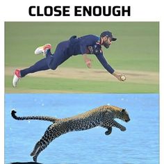 a man is diving in the water next to a cheetah that has just jumped into the water