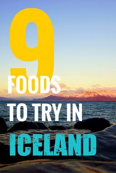 the number nine foods to try in iceland