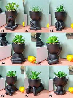 there are many different pictures of plants in the same potted planter, and each has its own unique shape