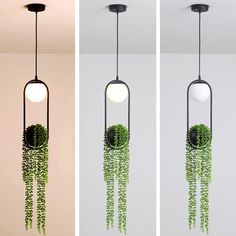 two pictures of plants hanging from the ceiling, one is green and the other is white