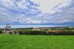 a lush green field next to a large body of water