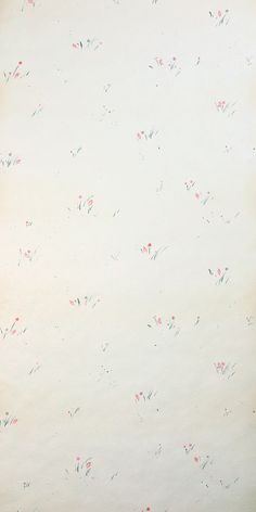 a white wall with pink flowers on it and a black cat in the foreground