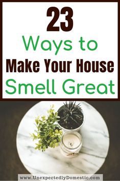 a small table with a potted plant on it and the words 23 ways to make your house smell great