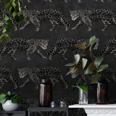 Digital printed design  a stunningly drawn panther prowls across this design  powerful and elegant in a magical noir black background.  Wide width wallpaper. Black Powder Room, Jaguar Wallpaper, Statement Wallpaper, Wallpaper Direct, Texture Background, Wallpaper Bedroom, Cat Wallpaper, Print Wallpaper, Subtle Textures