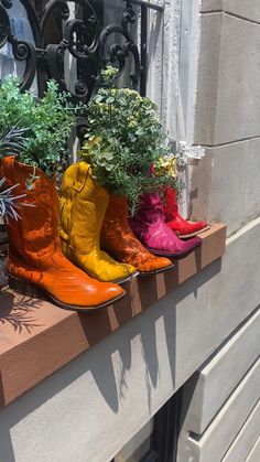 four pairs of colorful boots are lined up on a window sill with plants in them