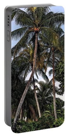 two palm trees in the jungle with blue sky and clouds behind them portable phone case by panoramic images