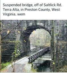 a bridge over a river in the middle of a forest