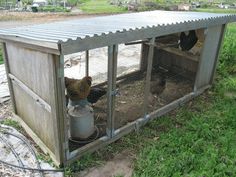 two chickens in a chicken coop on the grass