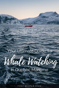 a boat in the ocean with text overlay that reads your ultimate guide to whale watching in quebec maritime