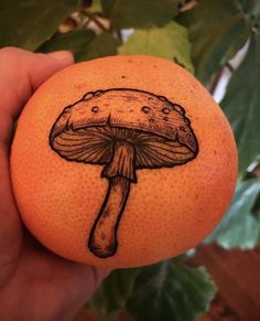 an orange with a drawing of a mushroom on it