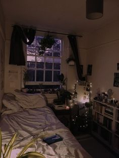 a dimly lit bedroom with a bed, plant and bookshelf in the corner