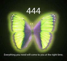 a green and purple butterfly with the words, 444 everything you need will come to at the right time