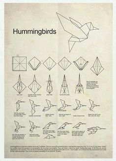 the instructions for how to make origami birds