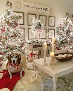 a dog is sitting on a couch in front of christmas trees and other holiday decorations