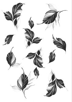 black and white leaves on a beige background