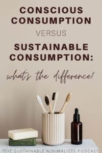 the words conscious consumption versus sustainable consumption what's the difference? on a wall