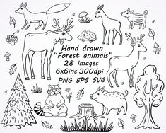 an image of hand drawn forest animals in black and white with the words'forest animals '