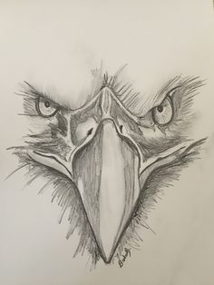 a drawing of an eagle's head with two large eyes and long beaks