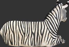 a zebra is standing in front of a black background