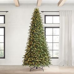 a christmas tree in a room with windows