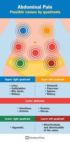 Abdominal pain has many causes, some more serious than others. Discover for youself what could be causing you abdominal pain below: Abdominal Pain Relief, Lower Abdominal Pain, My Stomach Hurts, Bile Duct, Reflux Disease, Type Treatments, Lower Abdomen, Cleveland Clinic, Stomach Ache