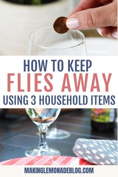 Learn how to use 3 things you already have at home to keep flies away outside. This hack for getting rid of flies outdoors will let you eat your meals in peace. Remedies For Flies In House, Rid Of Flies In House, How To Catch Flies In Your House, How To Deter Flies Outside, Fly Repellant Diy Indoors, House Fly Repellent, Repel Flies Outdoors, Keep Flies Out Of House