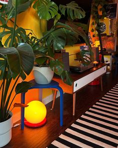 a living room filled with lots of plants next to a white and black striped rug