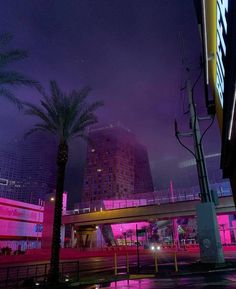 a city street at night with palm trees in the foreground and neon lights on the buildings