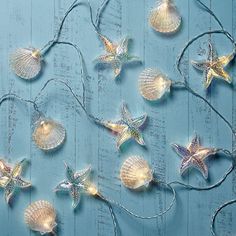 sea shells and starfish string lights on a blue background